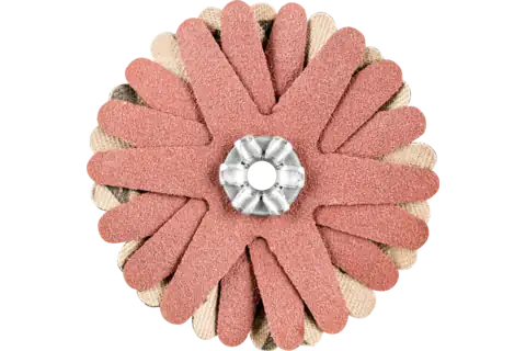 Pferd Polistar-Tube Cross Buffs, 10 Stk