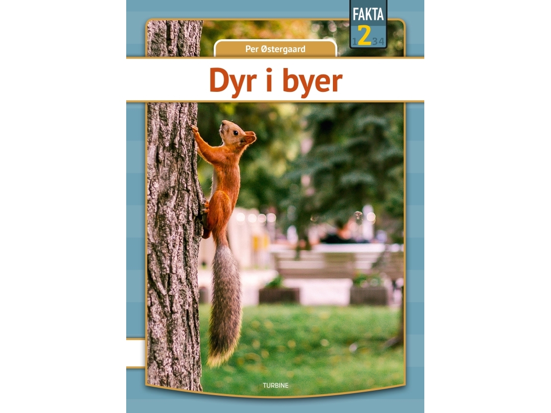 Dyr I Byer | Per Østergaard