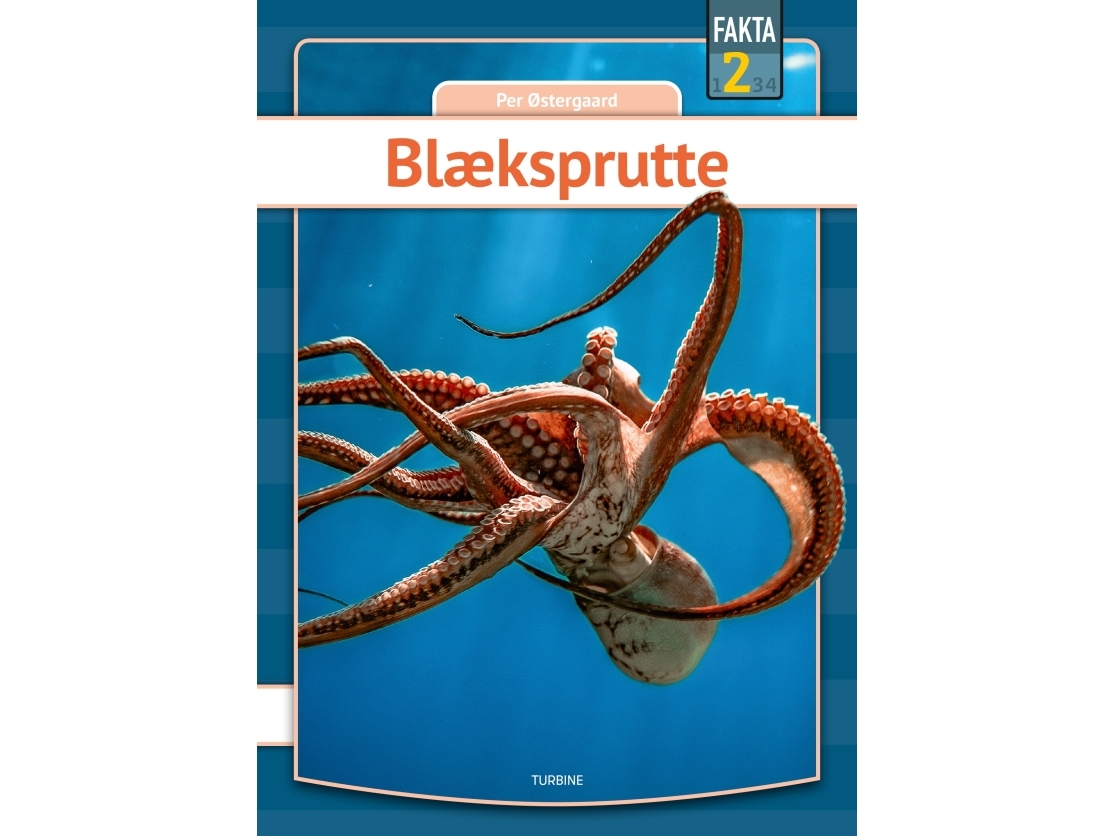Oktopus | Per Østergaard | Sprache: Dänish