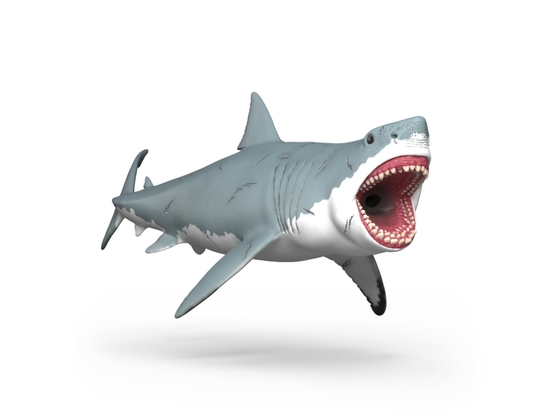 Schleich Megalodon