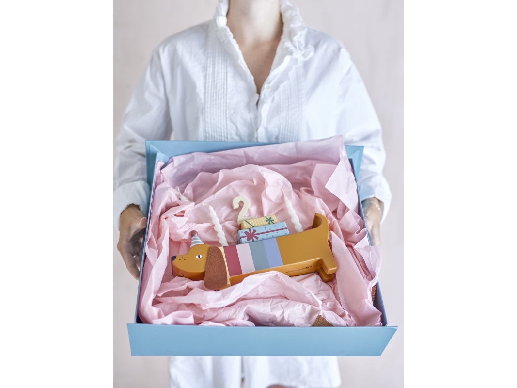 BLOOMINGVILLE MINI Charlie Fødselsdagsdekoration, Multifarvet, FSC®100%, MDF