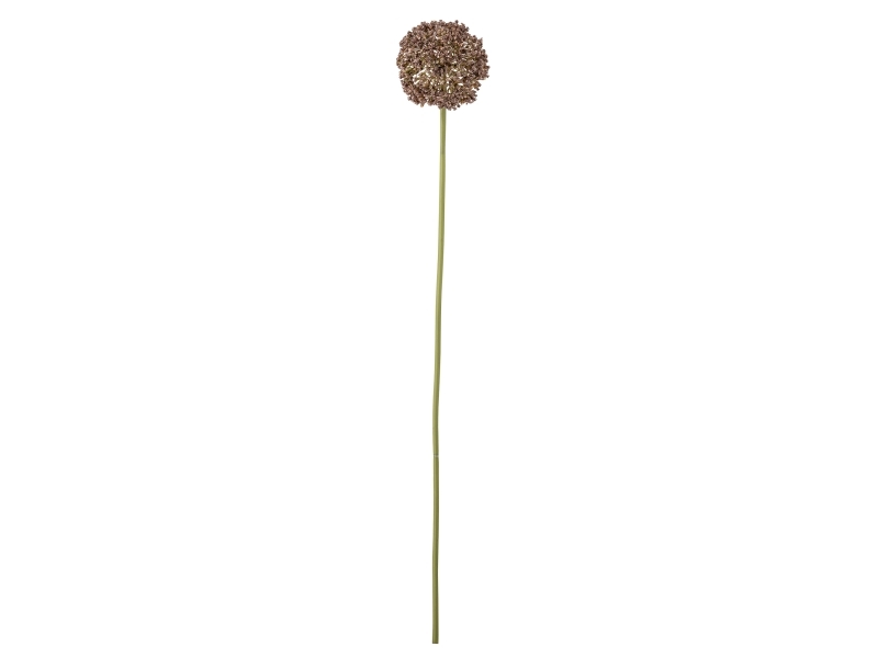 Bloomingville Allium Stiel, Braun, Künstliche Blumen