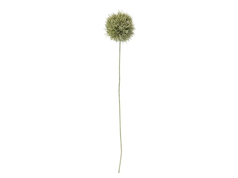 Bloomingville Allium Stiel, Grün, Künstliche Blumen