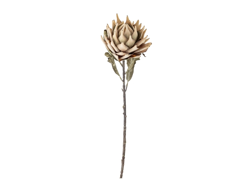 Bloomingville Protea Stiel, Natur, Künstliche Blumen