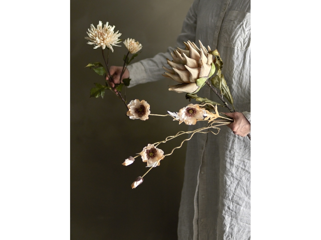 Protea stam, natur, konstgjorda blommor | N - A | GameStuff