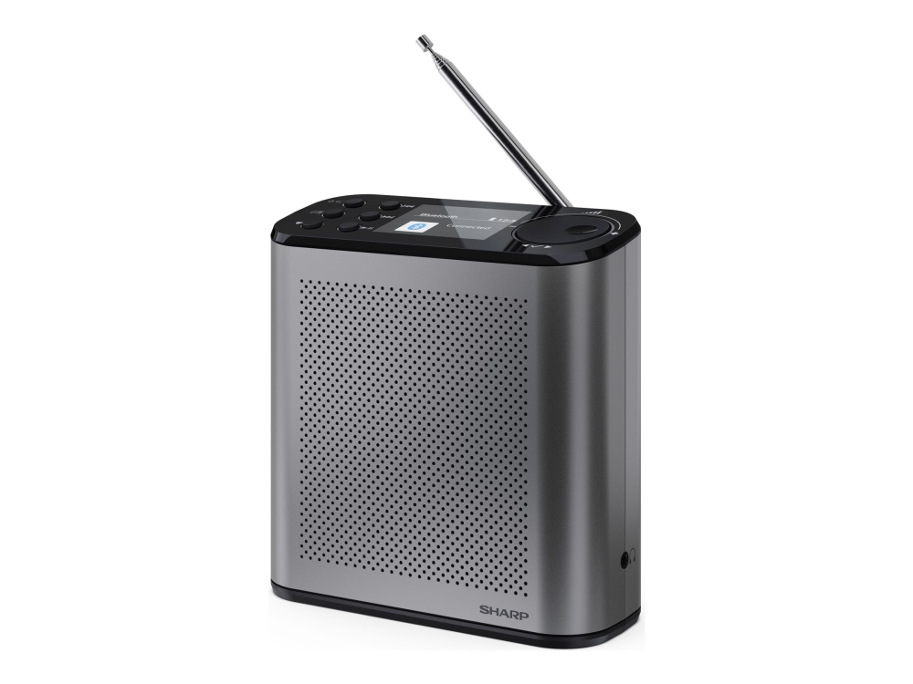 Sharp Dr-P530 Dab+/Bt Radio Mit Integr. Akku Schwarz