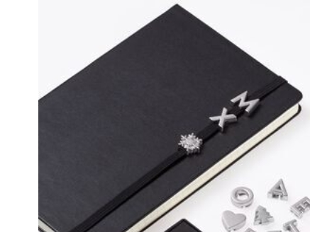 Moleskine Pins Z Sølv