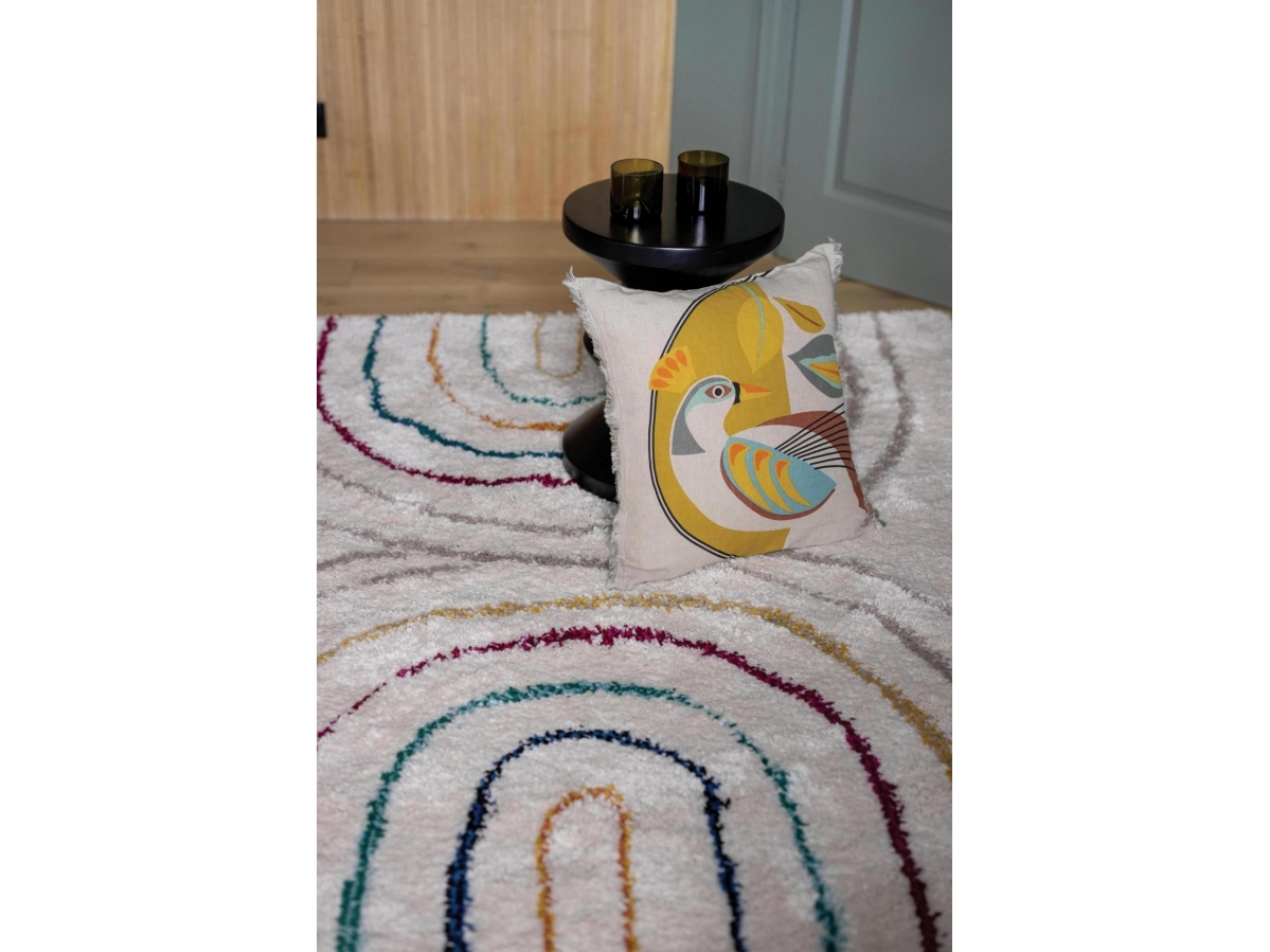 Vivaraise Gulvtæppe ZACH 2 MULTICO 160x230