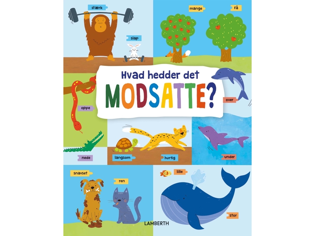 Hvad Hedder Det Modsatte? | Anna Mazepa