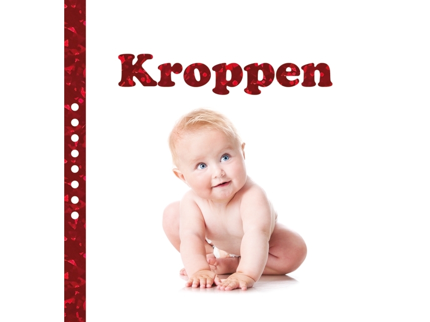 Der Körper | Per Schou | Sprache: Dänish