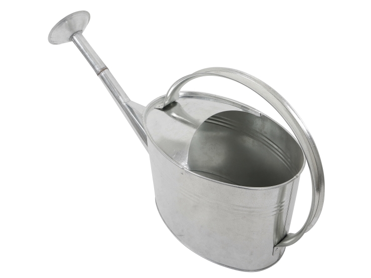 Home it® vattenkanna med sprutare 5 liter galvaniserad | Trädgården - Bevattning av trädgårdar - Trädgårdsslangar | GameStuff