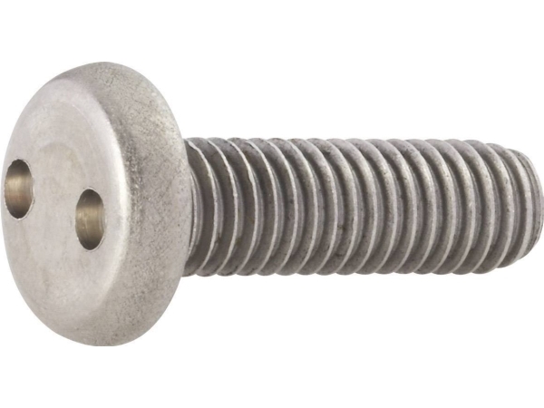 TOOLCRAFT 88111 Linsskruvar M4 16 mm Dubbelhål Rostfritt stål 10 st | Verktyg & Verkstad - Skruvar & Muttrar - Säkerhetsskruv | GameStuff