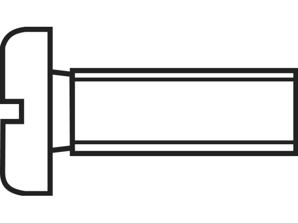 TOOLCRAFT 814679 Cylinderskruer M3 6 mm Kærv DIN 84 Stål verzinkt 100 stk | Verktyg & Verkstad - Skruvar & Muttrar - Skruv Metrisk | GameStuff