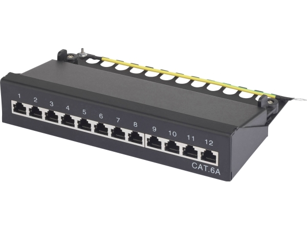 Renkforce 12 Ports Netzwerk-Patchbox Cat 6A 1 U
