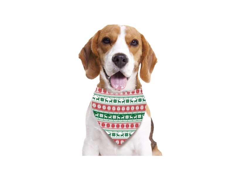 Roter Und Grüner Weihnachtsschal Für Hunde