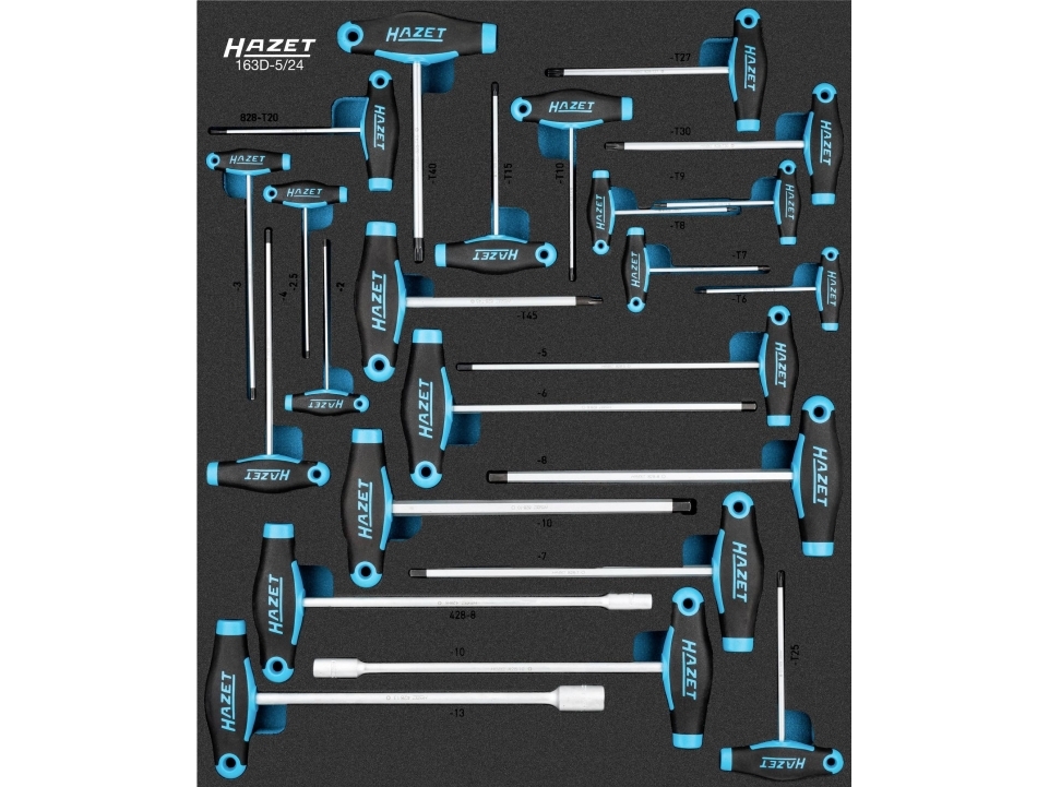 Hazet 163D-5/24, 24 Stück(E)