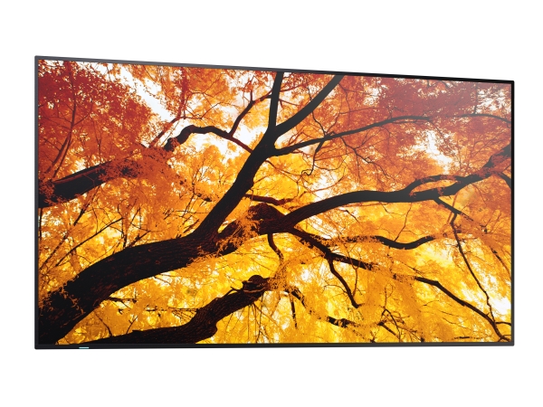 Sharp/Nec Multisync M432
