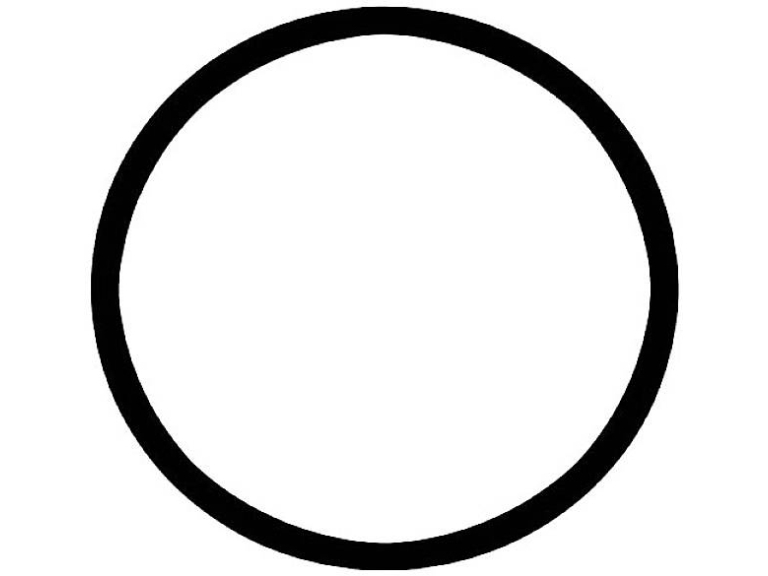 FIAP 2770-6 Reserveforbinder O-ring (Ø) 55 mm 1 stk | Sällskapsdjur - Trädgårdsdamm - Byggnad av trädgårdsdamm | GameStuff