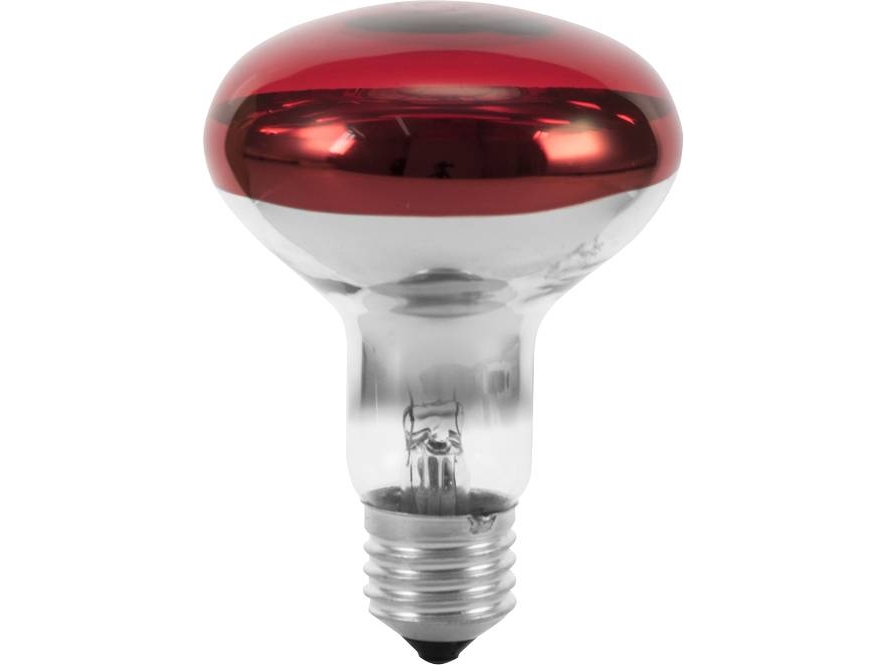 Eurolite 9210360U Halogen-Lampe E27 Reflektor 60 W Rød 1 Stk