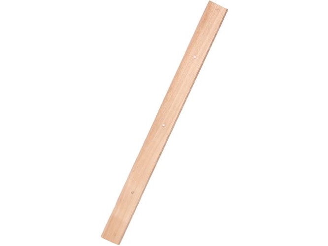 Galax asfaltragerblad, asketræ - 80 cm