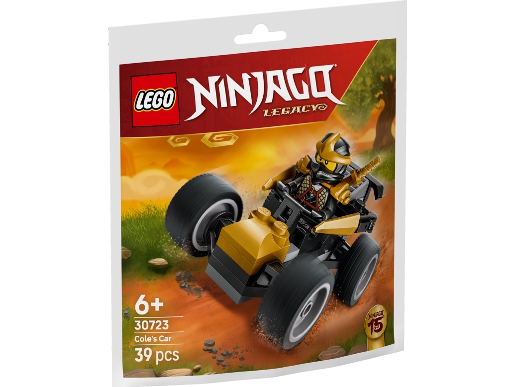 LEGO Recruitment Bags 30723 Coles ninjabil