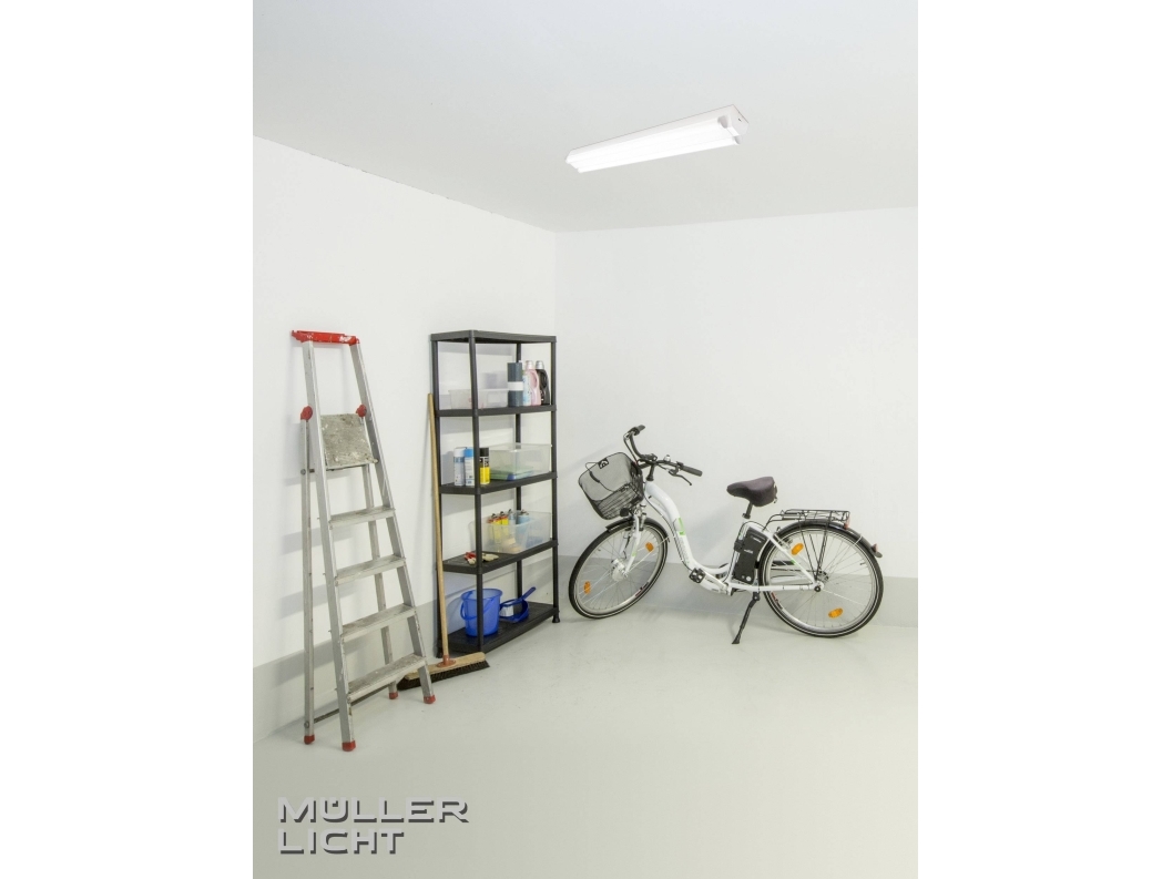 Müller-Licht 20300520