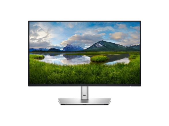 P Series P2225h Computer