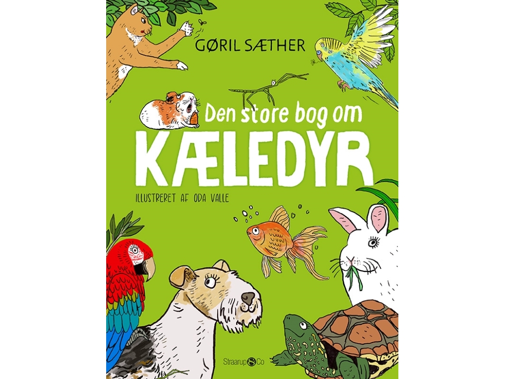 Den Store Bog Om Kæledyr | Gøril Sæther | Sprache: Dänish
