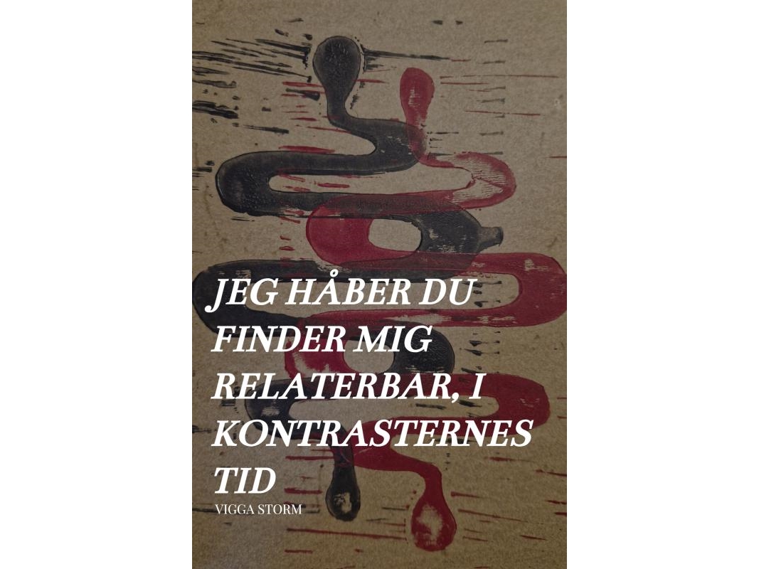 Ich Hoffe, Du Findest Mich Sympathisch, In Der Zeit Der Kontraste | Vigga Storm Sunesdatter | Sprache: Dänish