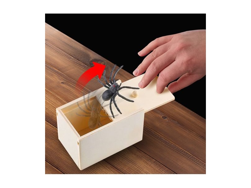 Holzkiste Mit Spinne