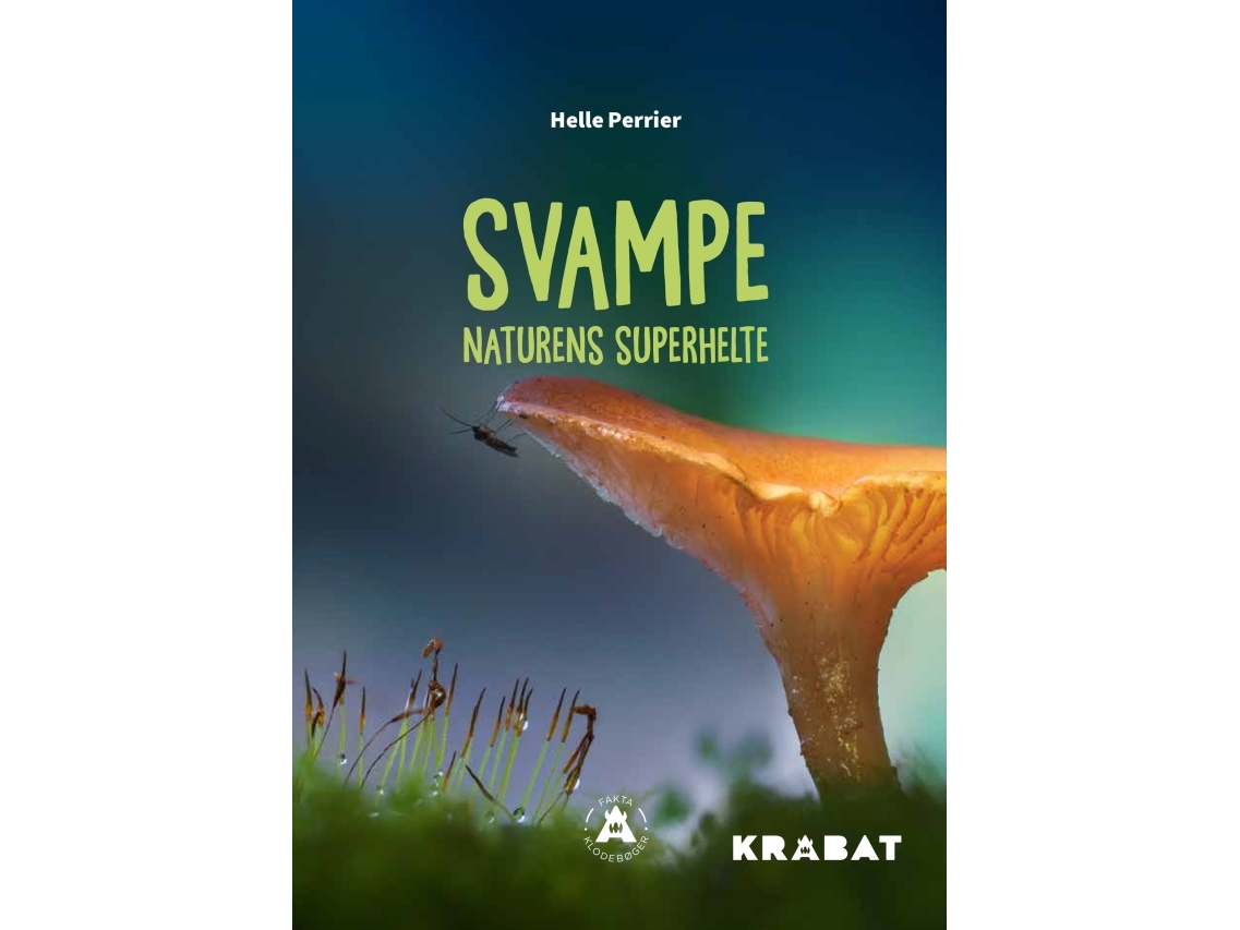 Svampe | Helle Perrier