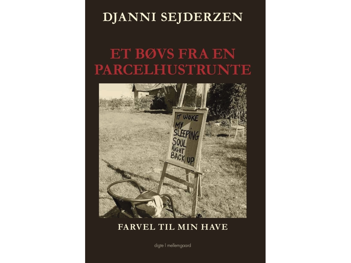 Et Bøvs Fra En Parcelhustrunte | Djanni Sejderzen
