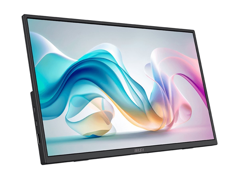 Msi Pro Mp165de E6 Mobiler Monitor 40,6 Cm (16") - Full Hd, Ips, 4Mx, 60Hz, Hdmi, Adaptive-Sync [Energieklasse E] (9S6-3Pe50m-002)
