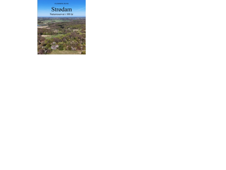 Strødam | Flemming Rune | Sprache: Dänish