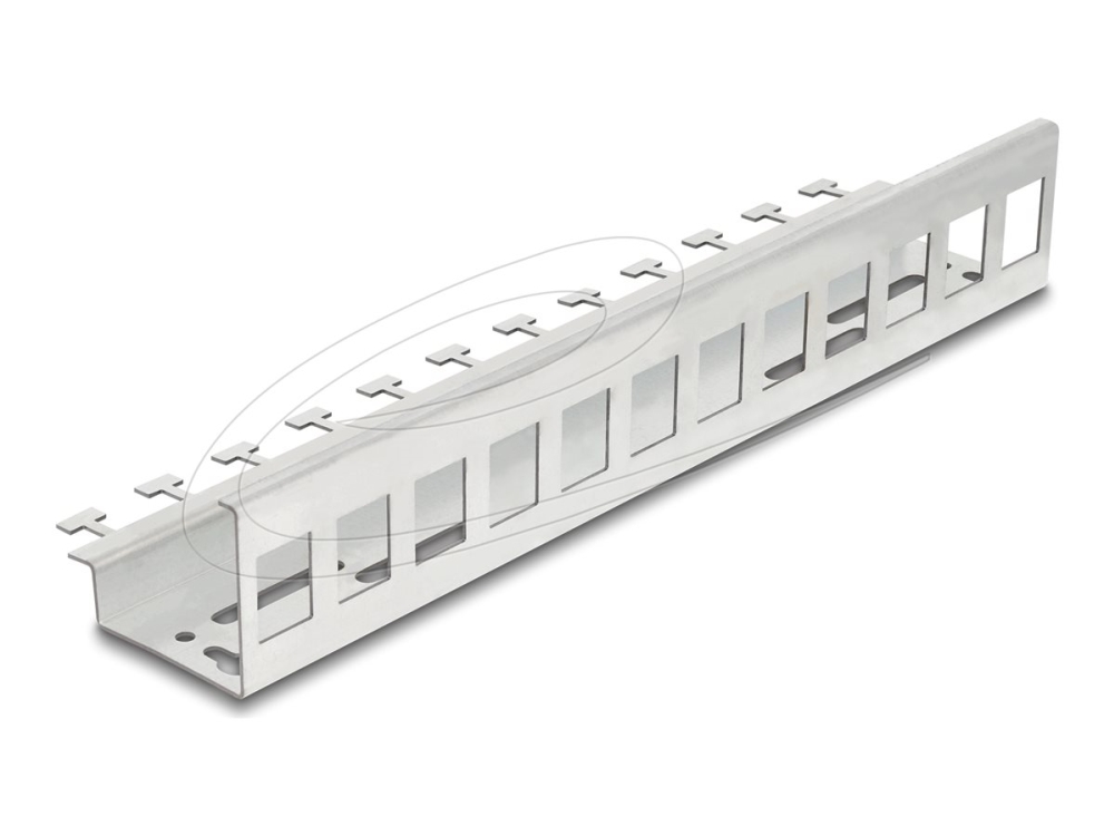 Delock - Keystone-Adapter - Metal - Din-Skinnemonterbar, Vægmonterbar - 12 Porte