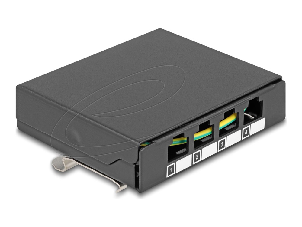 Delock - Patchpanel (Blank) - For Keystone Rj-Modules - Din-Skinnemonterbar, Overflademonterbar, Vægmonterbar - Sort - 4 Porte
