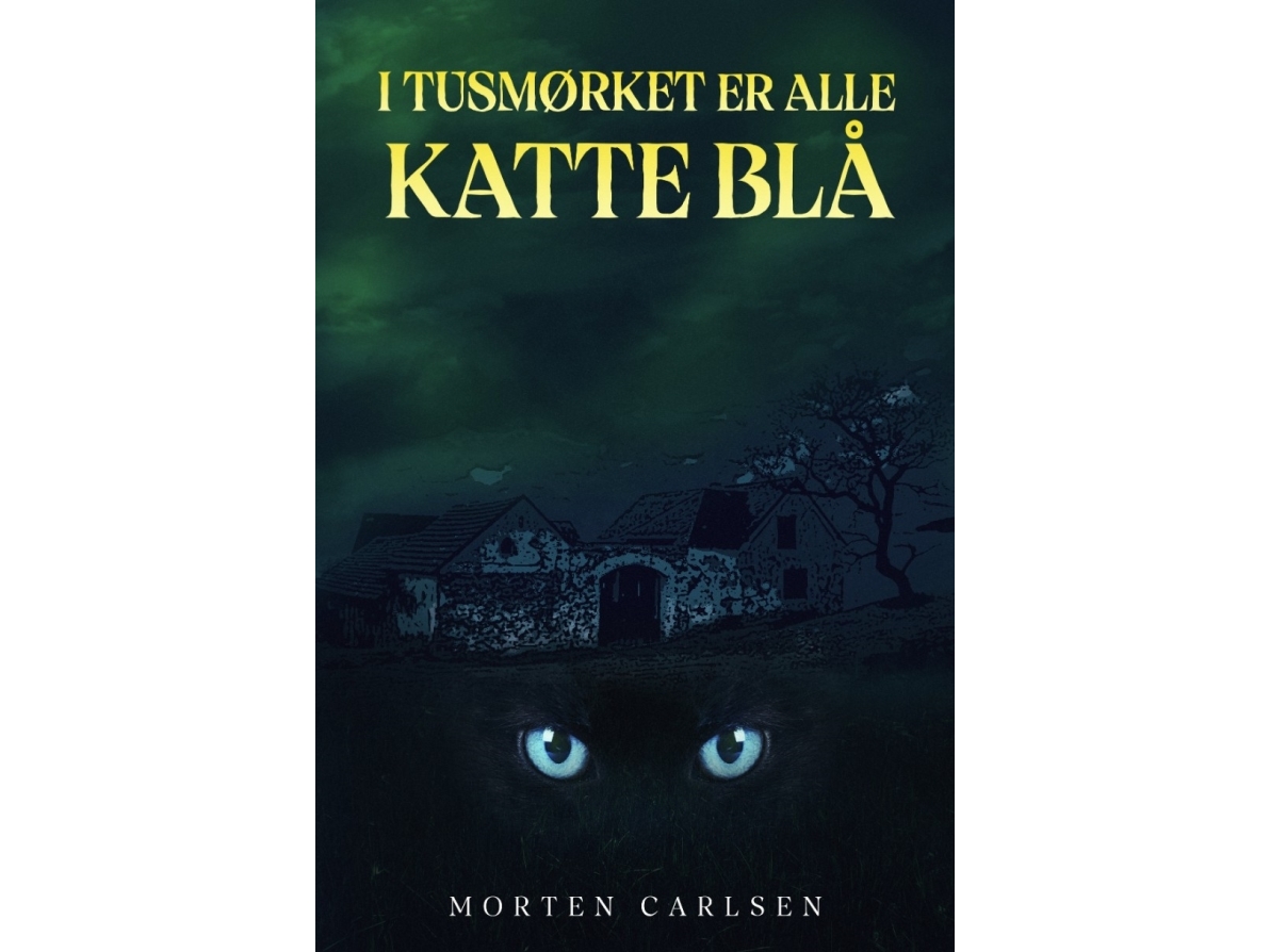I Tusmørket Er Alle Katte Blå | Morten Carlsen