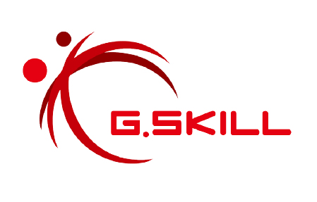 G.Skill Flare X5 F5-5600J3636c8gh1-Fx5, 8 Gb, 1 X 8 Gb, Ddr5, 288-Pin Dimm