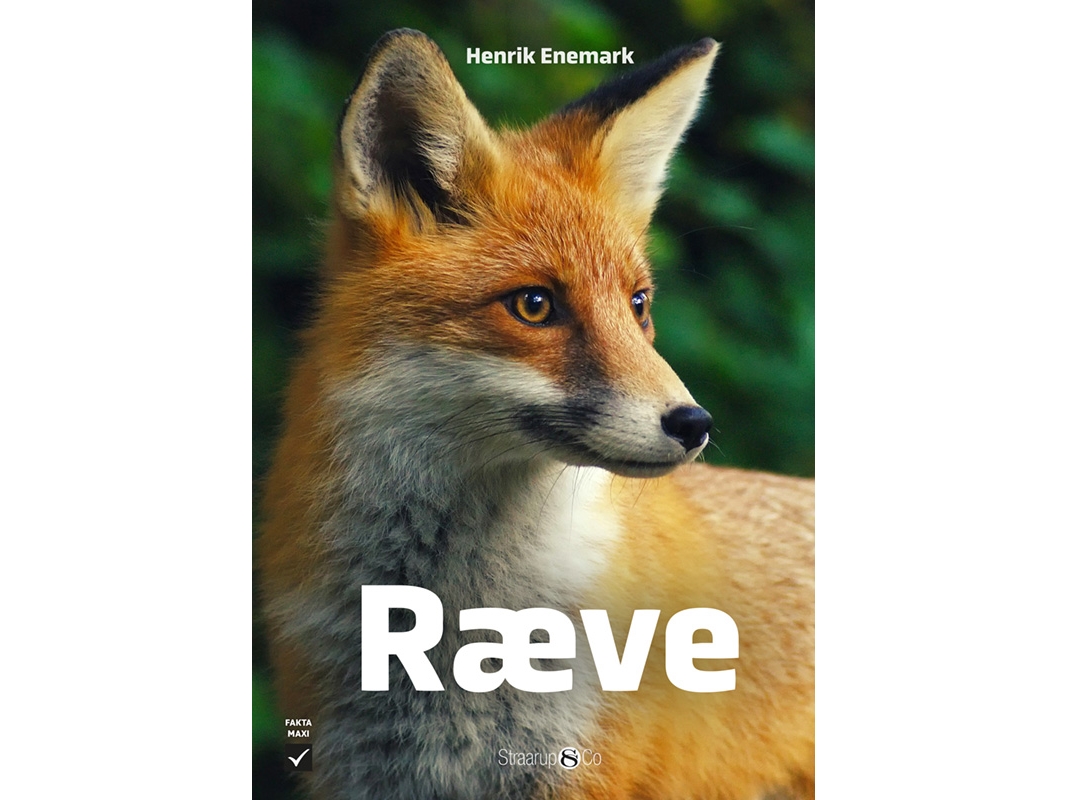 Ræve | Henrik Enemark