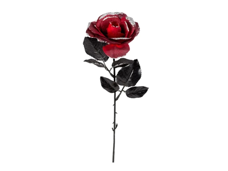 Bordeaux Rose