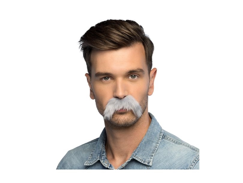 Grauer Schnauzbart