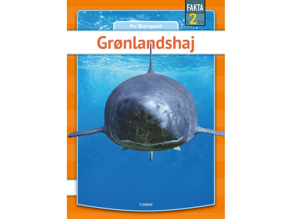 Grønlandshaj | Per Østergaard