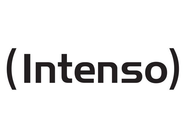 Intenso 7333031