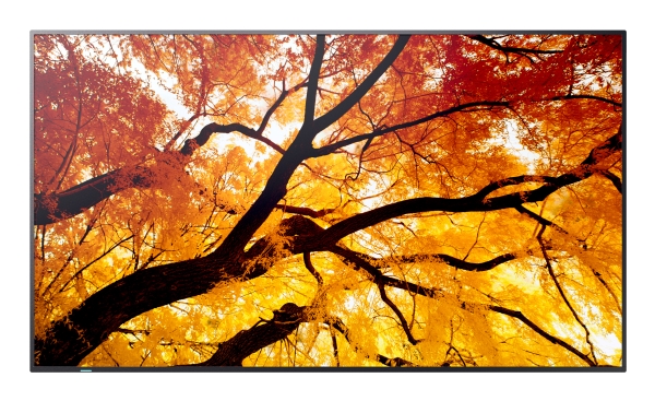 Sharp Multisync Pn-M752, 189,2 Cm (74.5"), Led, 3840 X 2160 Pixel, 24/7