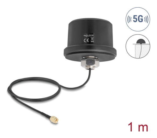 Delock - Antenne - Mobil, Wi-Fi, Navigation, Iot, Bluetooth - Omni-Directional