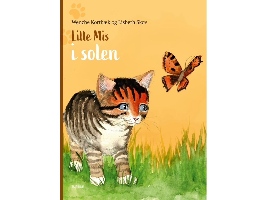 Das Kleine Kätzchen In Der Sonne | Wenche Kortbæk Und Lisbeth Skov | Sprache: Dänish