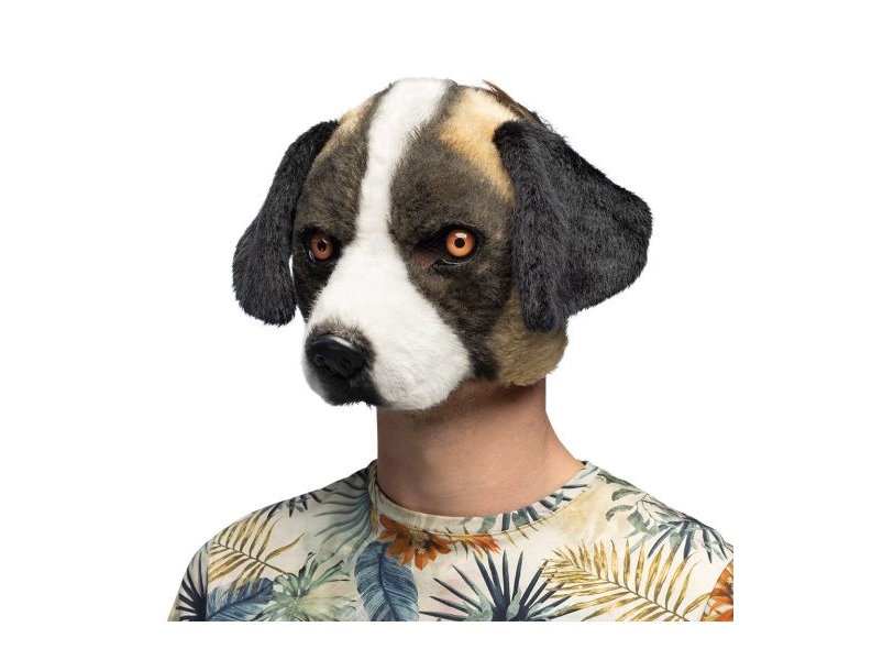 Bernhardiner Hundemaske