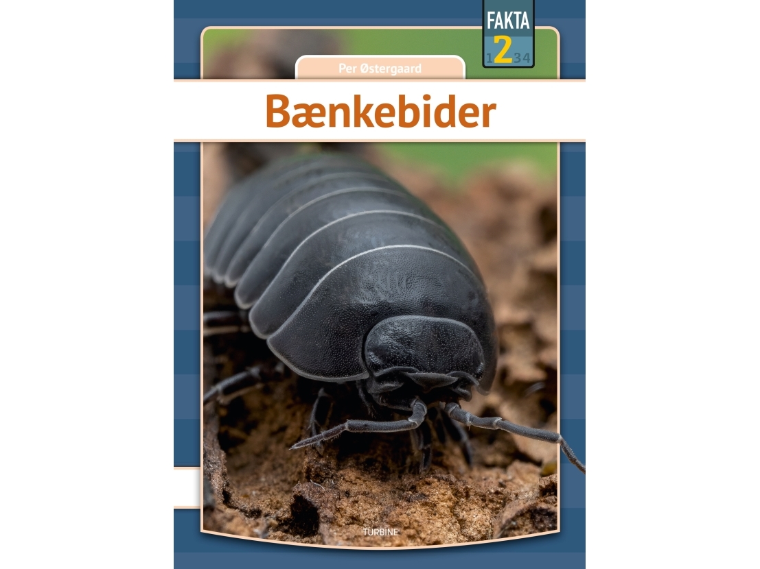 Bænkebider | Per Østergaard