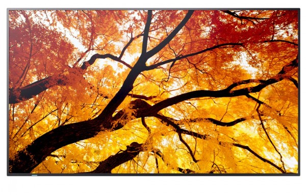 Bildschirm Nec Ekran Multisync M502