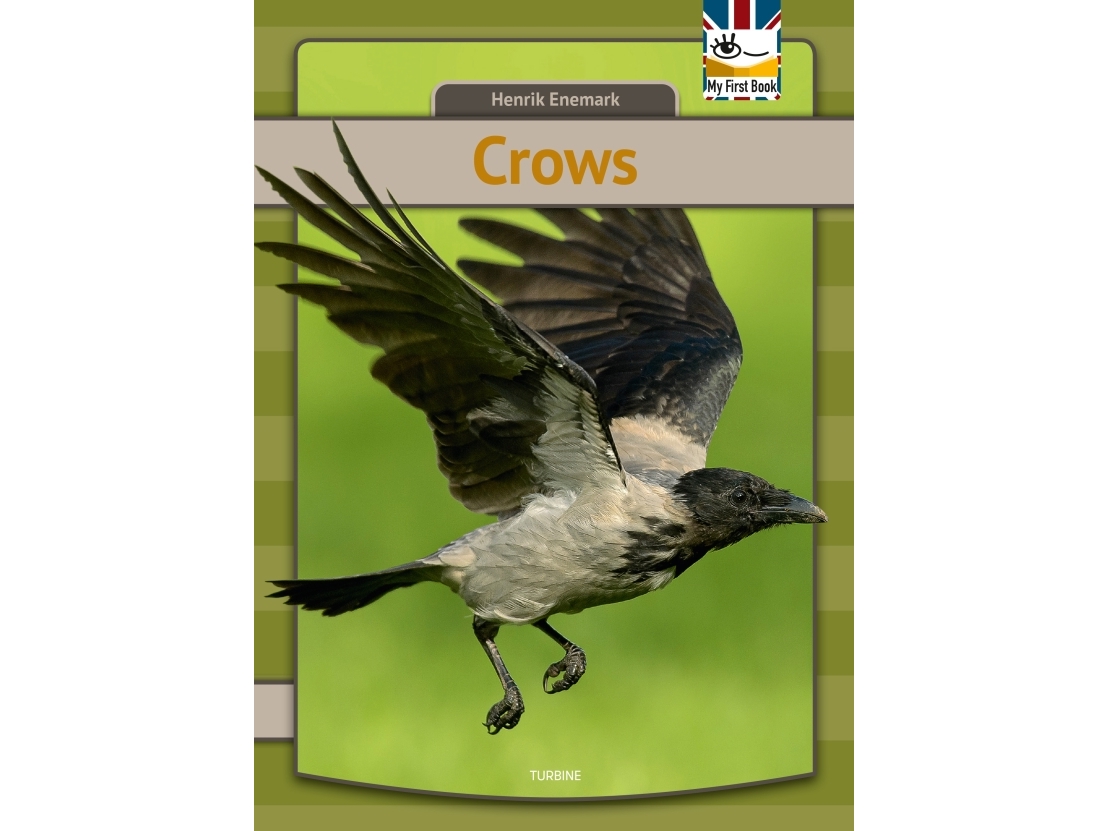 Crows | Henrik Enemark